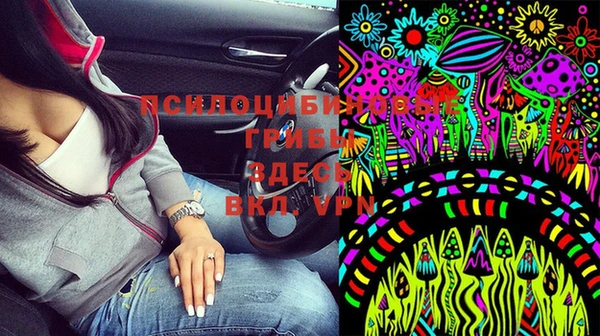 спиды Аркадак