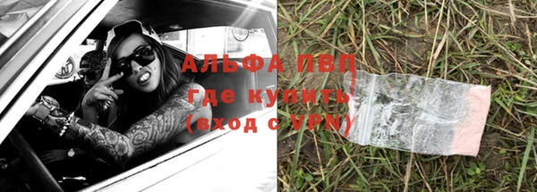 спиды Аркадак