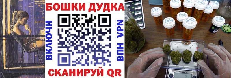 дарнет шоп  Рыбное  Конопля сатива 
